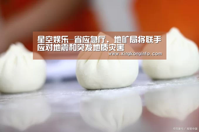 星空娱乐-省应急厅、地矿局将联手应对地震和突发地质灾害