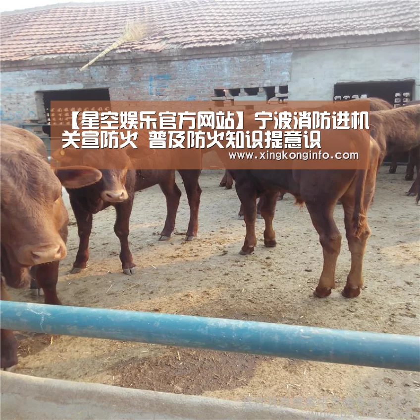 【星空娱乐官方网站】宁波消防进机关宣防火 普及防火知识提意识