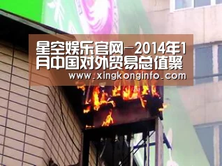 星空娱乐官网-2014年1月中国对外贸易